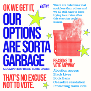 Graphic from the 2024 Queer Election Guide explaining why voting still matters, highlighting abortion access, Black lives, book bans, ceasefire resolutions, and protecting trans kids.