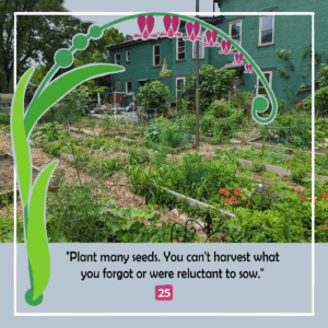 Photograph of Redden Gardens in Covington, Kentucky. A thriving community garden representing shared labor, food access, and neighborhood care.