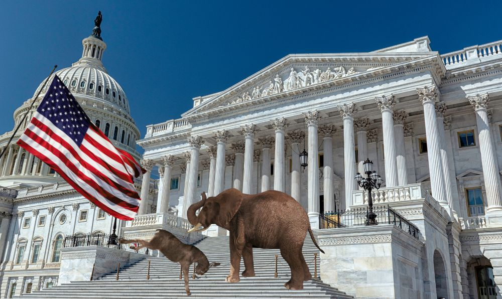 Illustration of the U.S. Capitol representing Kentucky’s 2026 federal ballot, including U.S. House and Senate races voters will decide who takes over the United States House and Senate.
